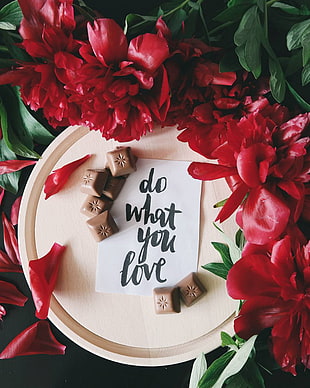 do what you love paper