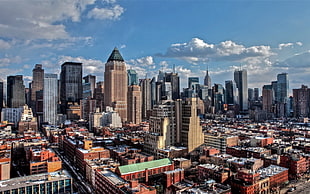 photography of New York City during daytime HD wallpaper