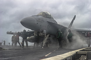 gray plane, military aircraft, aircraft carrier, McDonnell Douglas F/A-18 Hornet, Boeing EA-18G Growler