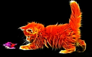 orange cat chasing mouse digital wallpaper