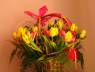 yellow and pink Tulip flowers in red steel baskety