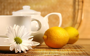 photography of lemon and ceramic teacups HD wallpaper