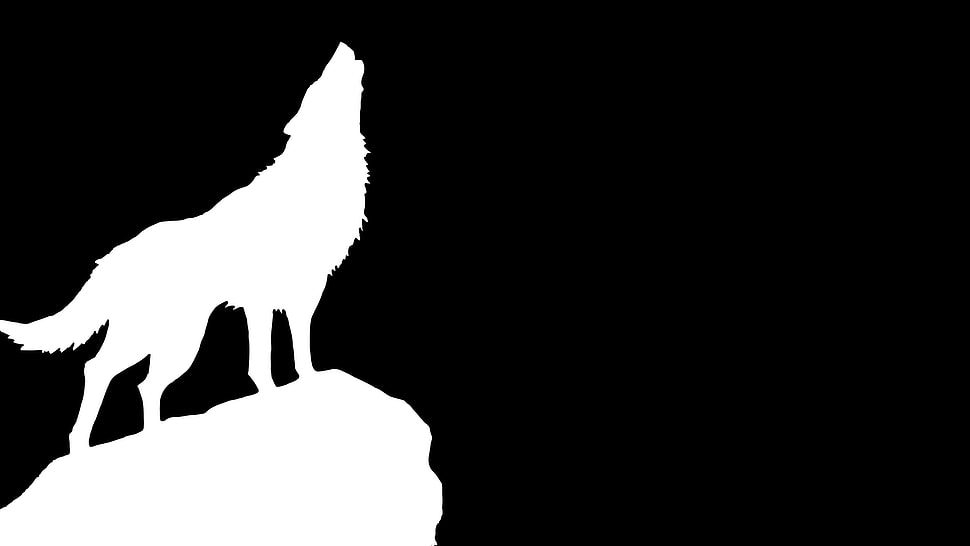 silhouette of wolf wallpaper, wolf, outline HD wallpaper