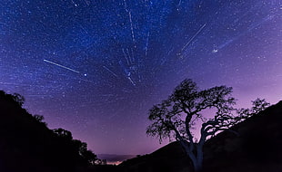 star trail photography, universe, night, landscape