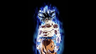 Dragon Ball Z Son Goku ultra instinct illustration