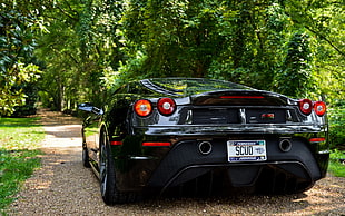 black coupe, Ferrari, car, Ferrari F430, vehicle
