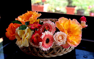 assorted color petaled flowers in basket