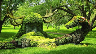 green grass, creativity, nature, sculpture, moss
