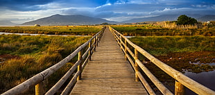 brown wooden pathway between grassland during cloudy day