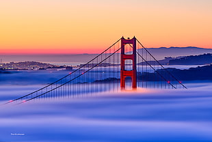 Golden Gate Bridge over the fogs HD wallpaper