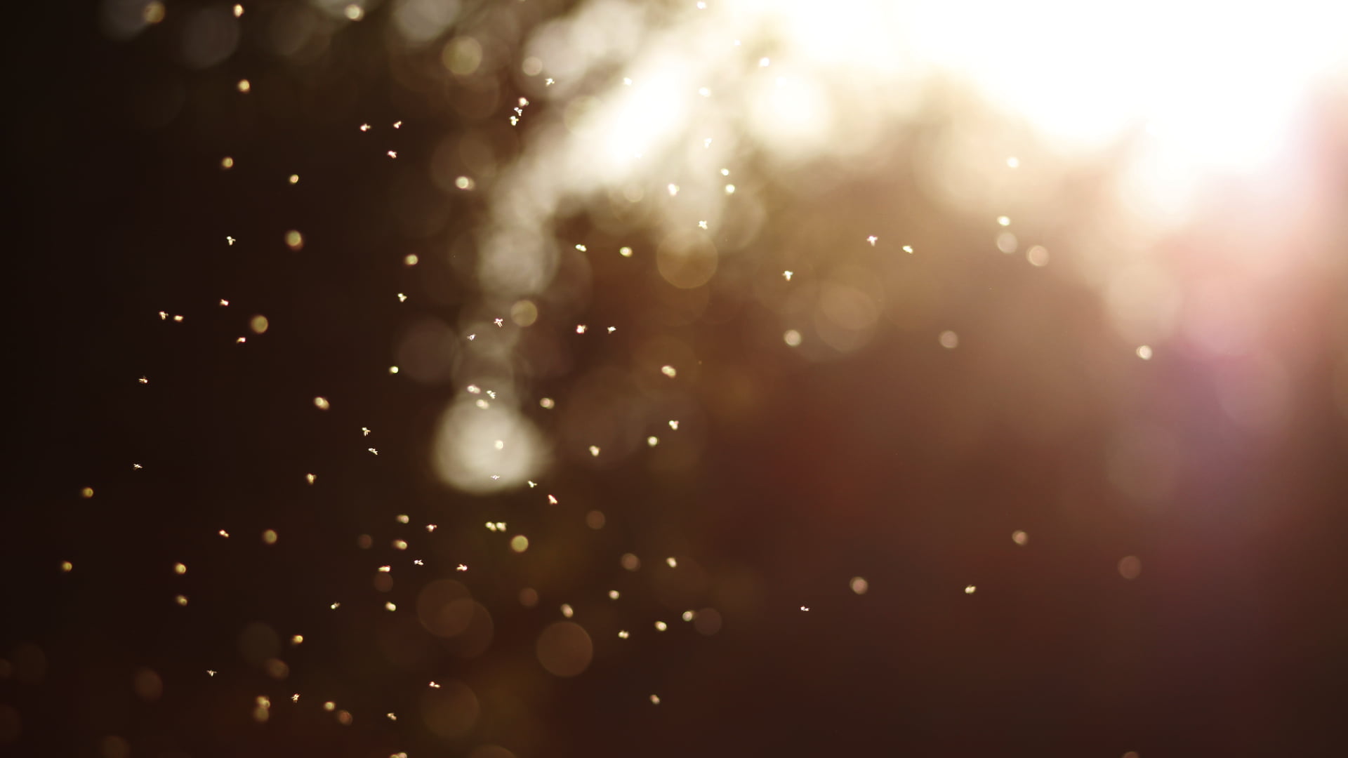 bokeh, lights, sunlight, shapes