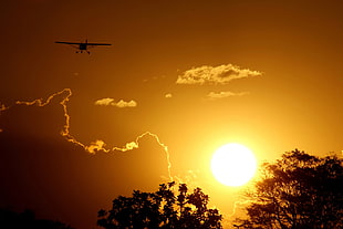 silhouette photo of plane over trees HD wallpaper