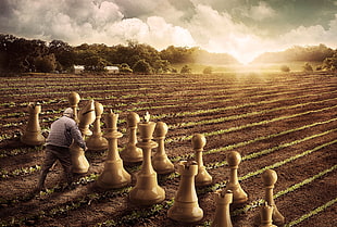man playing chess on farm HD wallpaper