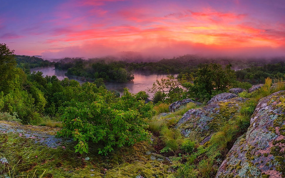 green leafed trees, nature, clouds, river, landscape HD wallpaper