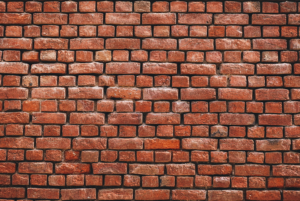 brown concrete brick wall HD wallpaper