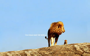 lion and cub with text overlay, quote, inspirational, lion