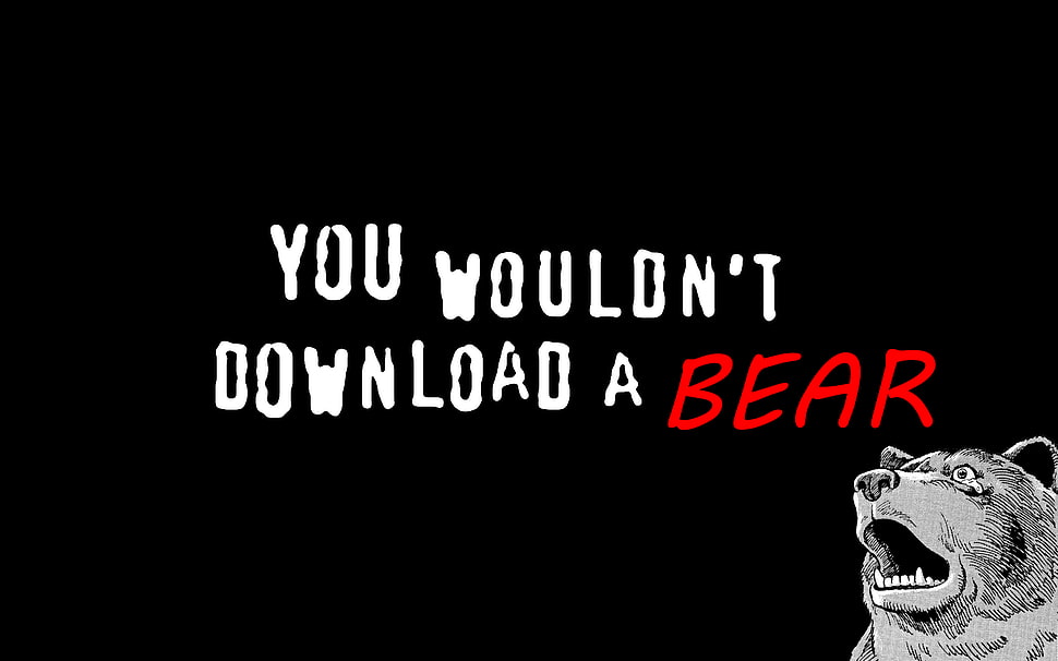bear illustration with text overlay, bears, humor, simple background, typography HD wallpaper