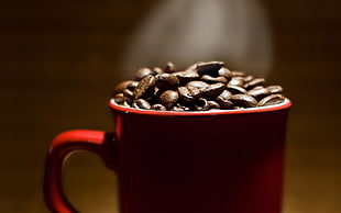 coffee beans on red ceramic mug