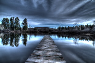 black and gray wooden bridge near body of water