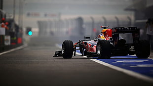 Red Bull racing card HD wallpaper