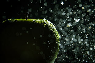 selective focus photography of green apple fruit with dews