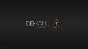 Demon Hunter logo, Diablo III, classes, video game characters