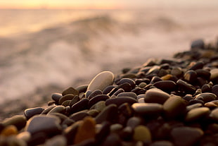 pebble lot, beach, stones, depth of field, macro HD wallpaper