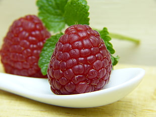 two raspberries on white ceramic spoon
