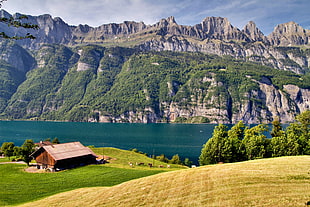 house and lake with mountain in distance on landscape photography