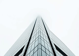 photography of high-rise building under gray sky during daytime HD wallpaper