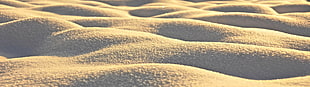 landscape photography of white sand