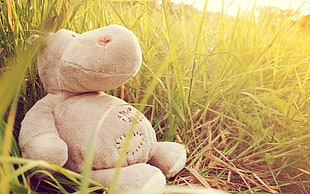gray hippopotamus plush toy, stuffed animal, grass, toys HD wallpaper