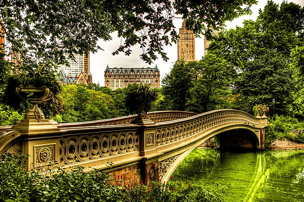 brown bridge HD wallpaper