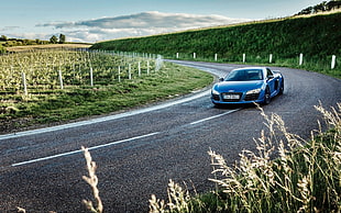 blue coupe, car, Audi, Audi R8, road