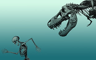 dinosaur and human skeleton wallpaper, dinosaurs HD wallpaper