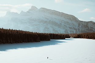 white glacier mountain, landscape, mountains, white, Sun HD wallpaper
