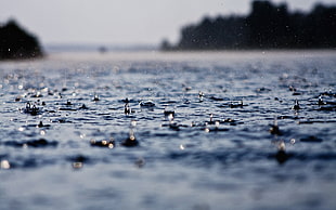 shallow focus photography of raindrops HD wallpaper