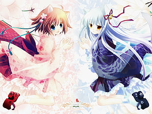 two Anime character women blue and pink dress illustration