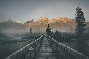 brown wooden footboard, landscape, mist, mountains, bridge
