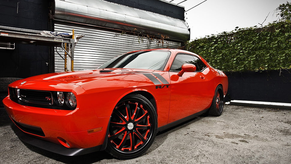 red coupe, Dodge Challenger HD wallpaper