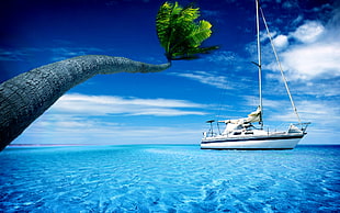 white yacht on sea under blue sky during daytime HD wallpaper