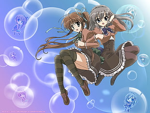 brown haired female anime character with another gray haired female anime character HD wallpaper