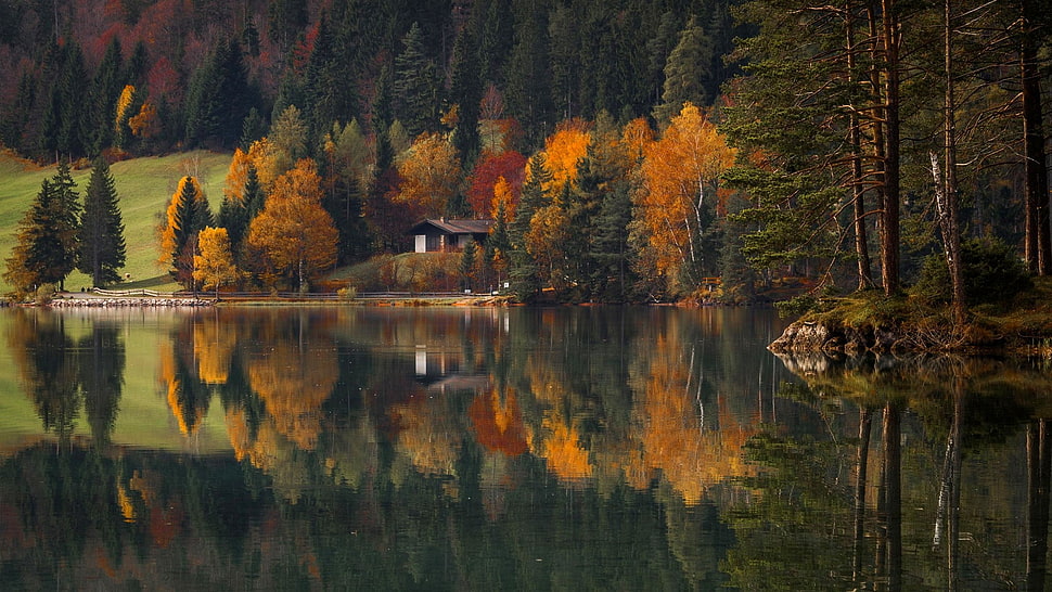 brown wooden cabin in near lake in reflective shot HD wallpaper