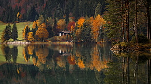 brown wooden cabin in near lake in reflective shot