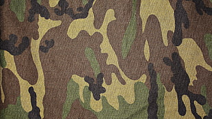 closeup photo of brown and multicolored woodland camo textile
