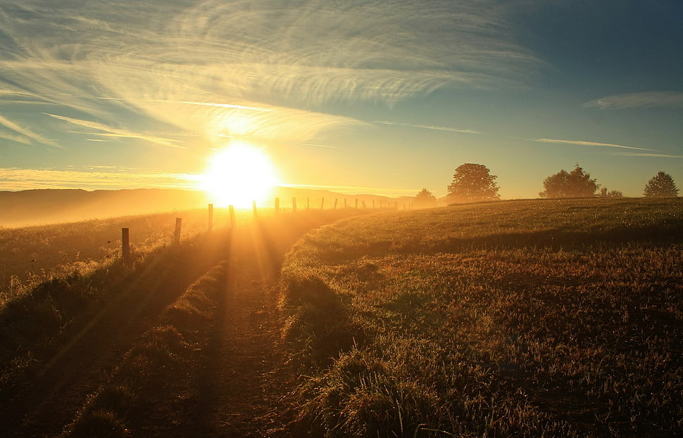 empty road between green grass during golden hour HD wallpaper