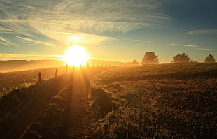 empty road between green grass during golden hour