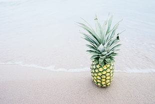 photography of Pineapple in seashore