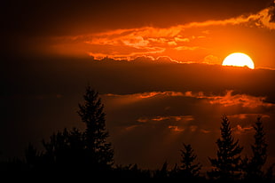 golden hour photography HD wallpaper