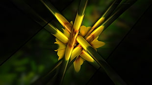 yellow petaled flower, abstract